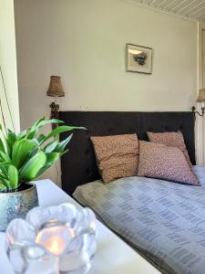 Un dormitorio con una cama y una mesa con una planta en Sunbjerre B&B en Lille Dalby