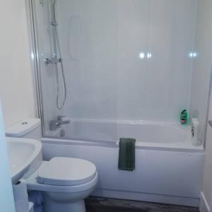 a white bathroom with a toilet and a shower at Carvetii - Norman House - 2nd floor, 1 bedroom flat in Boʼness
