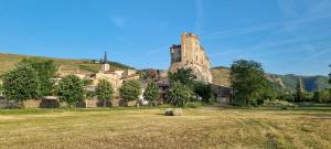 stary zamek na wzgórzu z polem w obiekcie Appartement chaleureux en Ardèche w mieście Châteaubourg