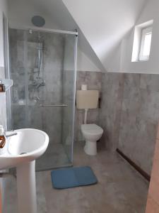 een badkamer met een douche, een toilet en een wastafel bij Pensiunea Tisa in Baile Felix