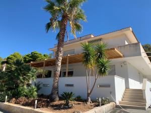 a house with palm trees in front of it at Villa Marna Bianca in Borgo Bonsignore
