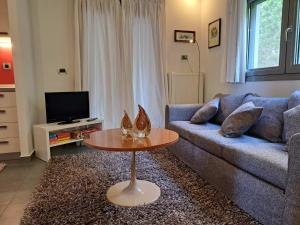 Foto dalla galleria di Flat with garden in Ioannina a Ioannina Altre 35 foto