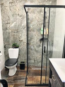 a bathroom with a shower with a toilet and a sink at Gallér Jakuzzis Vendégház in Gárdony