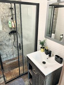 a bathroom with a shower with a white sink and a shower at Gallér Jakuzzis Vendégház in Gárdony