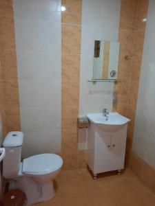 La salle de bains est pourvue de toilettes blanches et d'un lavabo. dans l'établissement Райчевата къща - Кюстендил, à Kyustendil