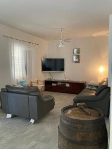 ein Wohnzimmer mit 2 Sofas und einem Flachbild-TV in der Unterkunft Whole villa in Primošten in Primošten