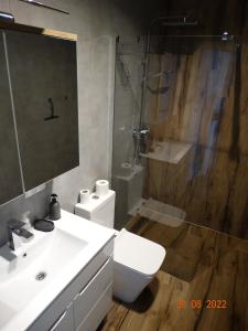 a bathroom with a sink and a toilet and a shower at Apartament na Piaskowej in Żarnowska