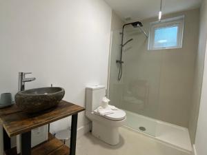 a bathroom with a sink and a toilet and a shower at De Parys Self-Catering Flat 2 in Bedford in Bedford