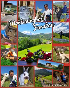Fotografie z fotogalerie ubytování Baby- und Kinderbauernhof Montaning v destinaci Forstau