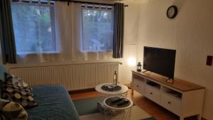 uma sala de estar com uma televisão de ecrã plano e um sofá em Weserbergland-Stop em Halle