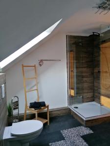 La salle de bains est pourvue de toilettes et d'une douche en verre. dans l'établissement Waldglück Familie Brüning, à Bad Berleburg