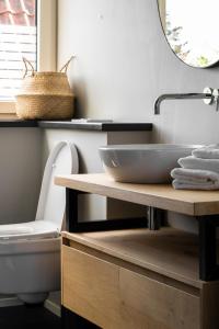 een badkamer met een wastafel en een toilet bij Appartement de Hoge Stoep in Hollum