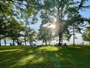 people in a park with the sun shining through trees at Ferienwohnung am Chiemsee in Übersee