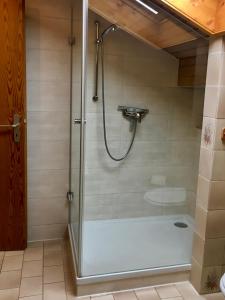 a shower with a glass door in a bathroom at Ferienwohnung am Chiemsee in Übersee