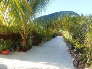 un camino bordeado de palmeras y plantas en Fare Ara Location Huahine, en Fare