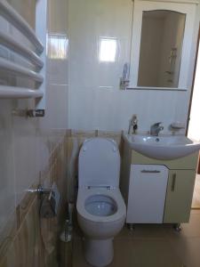 a bathroom with a white toilet and a sink at D&G guest house in Yeghegnadzor