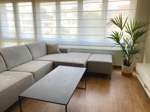 ein Wohnzimmer mit einem Sofa und einem Tisch in der Unterkunft Cosy and Fully Equipped Apartment near Antwerp in Antwerpen