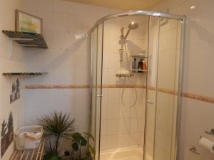 a shower with a glass door in a bathroom at Science Park Suite in Cambridge
