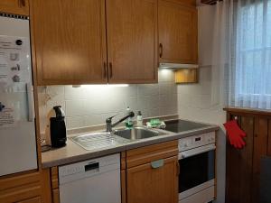 a kitchen with a sink and a dishwasher at Cozy Chalet by Interlaken. Parking in Ringgenberg
