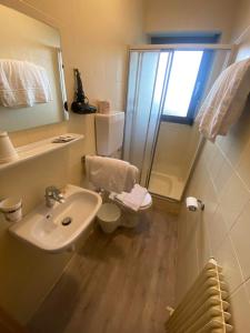 ein Bad mit einem Waschbecken, einem WC und einer Dusche in der Unterkunft Laimerhof in Riffian
