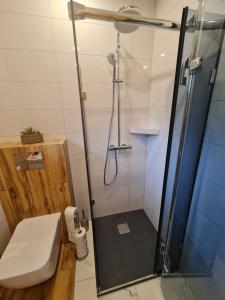 Kupatilo u objektu Apartament Rynek