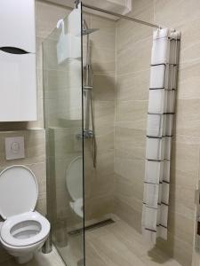 a bathroom with a toilet and a glass shower at Apartment Marko in Budva