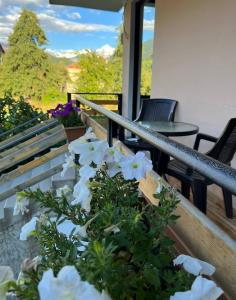 Aed väljaspool majutusasutust Monte Bianco