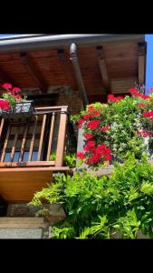 Vonkajšia záhrada v ubytovaní Splendido cottage Lakeview