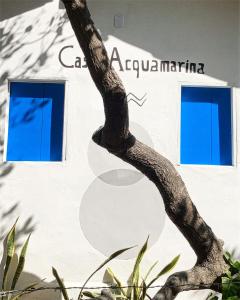 ein Baum vor einem weißen Gebäude mit blauen Fenstern in der Unterkunft Casa Acquamarina in Atins