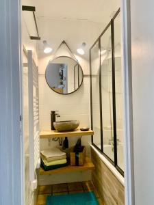ein Bad mit einem Waschbecken und einem Spiegel in der Unterkunft Jour De Peuf in Champagny-en-Vanoise