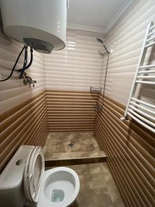 ein kleines Bad mit einem WC und einer Dusche in der Unterkunft Monte Bianco in Mestia