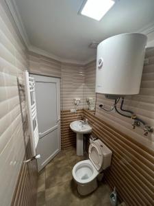 ein Bad mit einem WC und einem Waschbecken in der Unterkunft Monte Bianco in Mestia