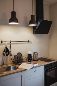 una cocina con fregadero y 2 luces sobre un mostrador en Rozenstein design apartment en Brocēni