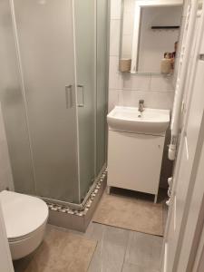 Fotografie z fotogalerie ubytování Studio rent in Zarasai v destinaci Zarasai