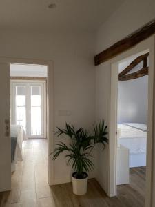 Postel nebo postele na pokoji v ubytování Celanova House