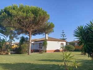 ein Haus mit einem Baum im Hof in der Unterkunft Casa Manoli in El Palmar + 4 Fotos