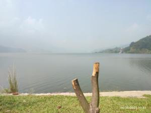 Landskap semula jadi dekat dengan hotel