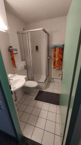 uma casa de banho com um chuveiro, um WC e um lavatório. em Two Apartaments Almberg - Mitterdorf-Mitterfirmiansreut em Mitterfirmiansreut