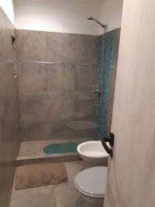 a bathroom with a shower and a toilet and a sink at Olivo Apartment in Esquel