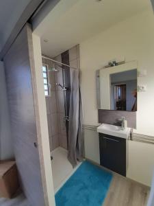 La salle de bains est pourvue d'une douche, d'un lavabo et d'un miroir. dans l'établissement La kaz tifi, à Les Avirons