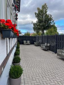 un patio con bancos y flores rojas y una valla en Pension Lavendel, en Harztor