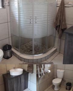 ein Bad mit einer Dusche, einem WC und einem Waschbecken in der Unterkunft Ukweza Guest House in Marloth Park