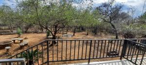 einen Balkon mit Blick auf einen Park mit Bäumen in der Unterkunft Ukweza Guest House in Marloth Park