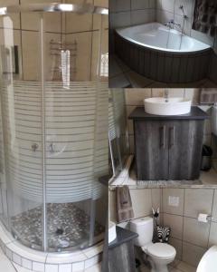 ein Bad mit einer Dusche, einem Waschbecken und einem WC in der Unterkunft Ukweza Guest House in Marloth Park