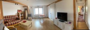 a living room with a couch and a television at A la Maladière in Neuchâtel