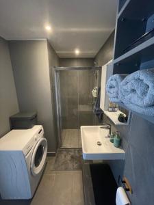 a bathroom with a washing machine and a sink at Divas Laivas apartments with a terrace in Ķesterciems