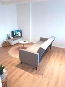 Televízia a/alebo spoločenská miestnosť v ubytovaní Zoo Karlovarská Apartment
