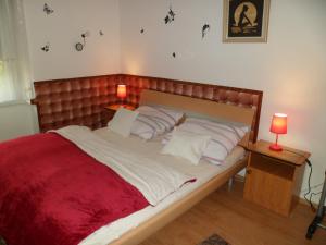 FehérvárcsurgóにあるMargaréta Vendégházのベッドルーム1室(大型ベッド1台、木製ヘッドボード付)