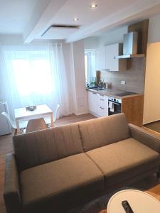 uma sala de estar com um sofá e uma cozinha em Zoo Karlovarská Apartment em Plzeň