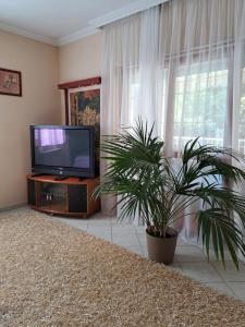 A television and/or entertainment centre at Villa Csilla elegant house
